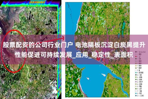 股票配资的公司行业门户 电池隔板沉淀白炭黑提升性能促进可持续发展_应用_稳定性_表面积