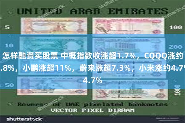 怎样融资买股票 中概指数收涨超1.7%，CQQQ涨约4.8%，小鹏涨超11%，蔚来涨超7.3%，小米涨约4.7%
