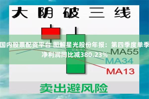 国内股票配资平台 图解星光股份年报：第四季度单季净利润同比减380.23%