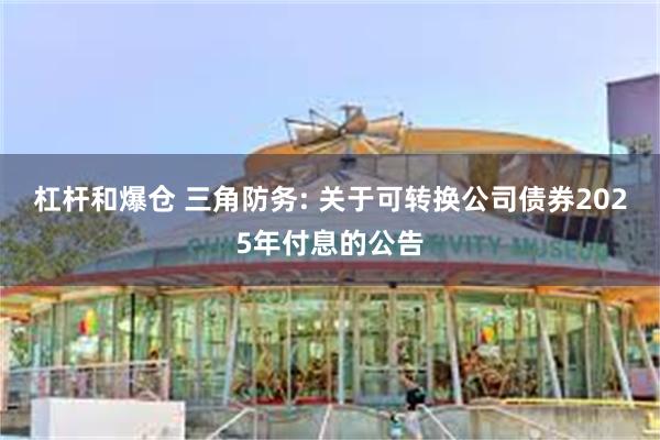 杠杆和爆仓 三角防务: 关于可转换公司债券2025年付息的公告