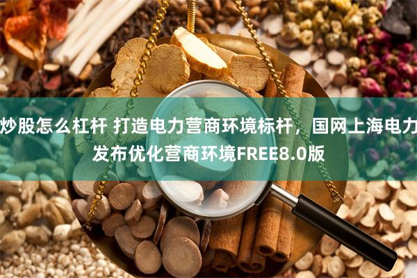 炒股怎么杠杆 打造电力营商环境标杆，国网上海电力发布优化营商环境FREE8.0版