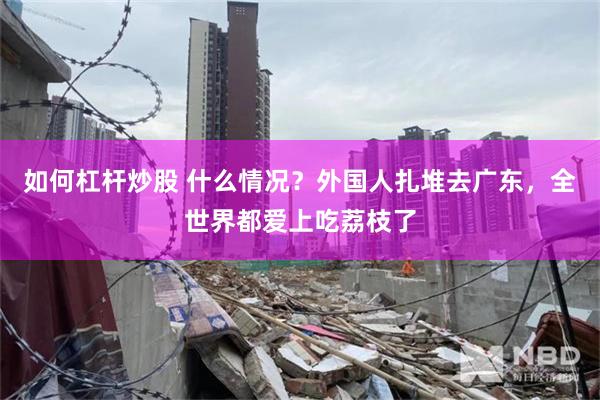 如何杠杆炒股 什么情况？外国人扎堆去广东，全世界都爱上吃荔枝了