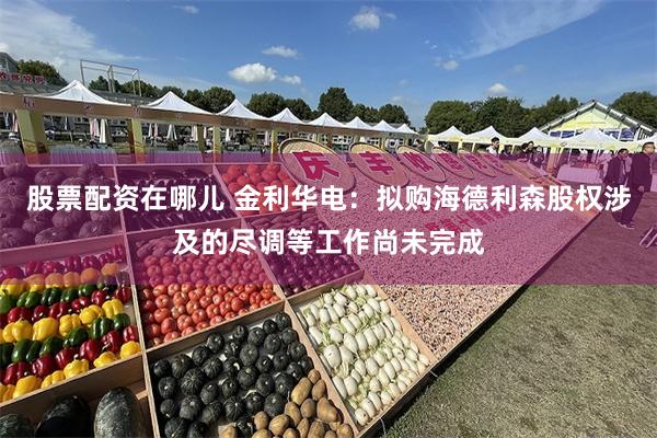股票配资在哪儿 金利华电：拟购海德利森股权涉及的尽调等工作尚未完成