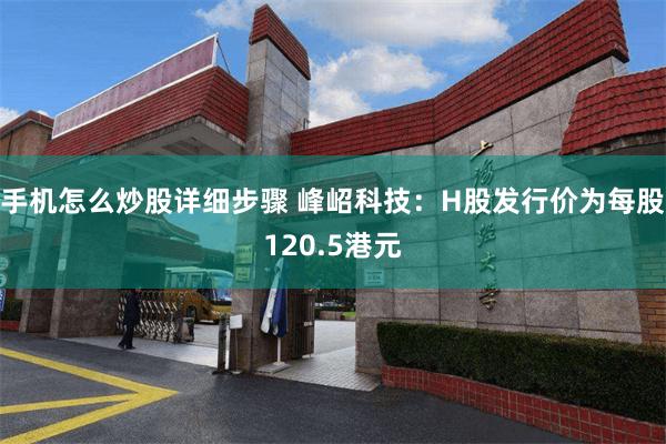手机怎么炒股详细步骤 峰岹科技：H股发行价为每股120.5港元